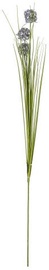 Home4you Bouquet Herbarium 3pcs In Garden H89cm 83846