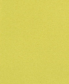 Viniliniai tapetai Rasch Cato 800647