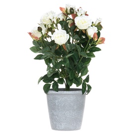 Искусственные цветы в вазоне 4Living Elegant Rose, белый/зеленый/серый