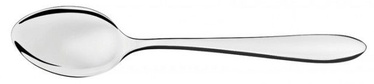 Tramontina Satri Table Spoon