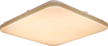 Nino Tama 052852 Ceiling Lamp 12W LED