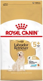 Сухой корм для собак Royal Canin, рис, 12 кг