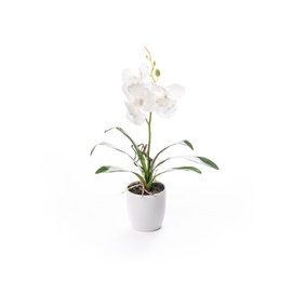SN Artificial Orchid Flower Pot RU-5835 30cm