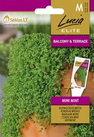 SĒKLAS GARŠAUG.PIPARMĒT.SUL.MINI MINT