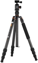 Genesis C3 Kit Orange