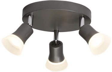 Brilliant LED Spoti 3x4W Graphite 248329