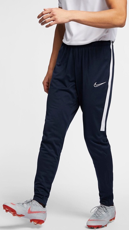 Kelnės, vyrams Nike, mėlyna, 2XL