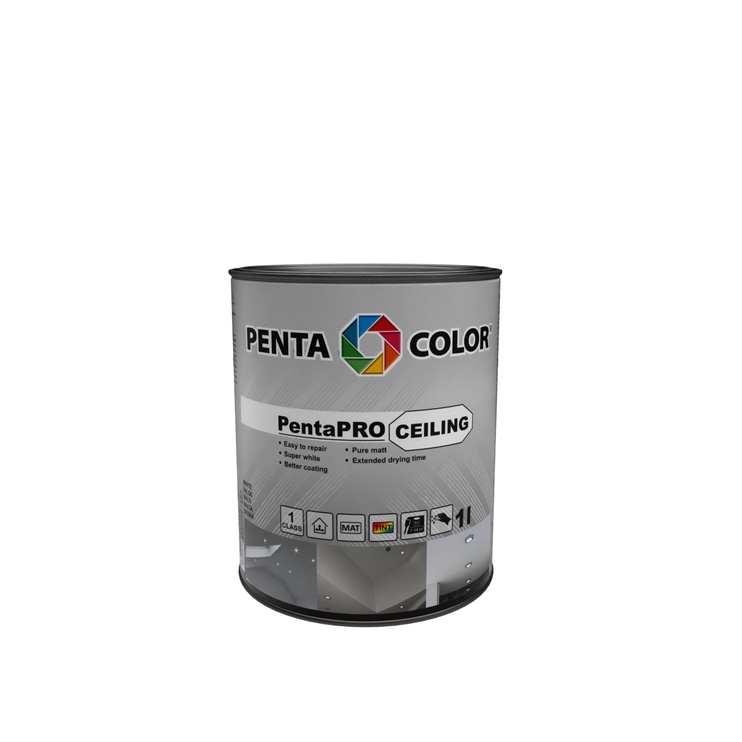 Värv Pentacolor PentaPro Ceiling 3, valge, 1 l