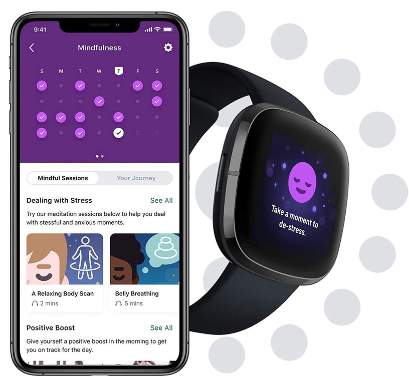 Nutikell Fitbit Sense, must