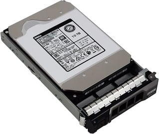 Dell 400-ANVL 10TB 7200RPM NLSAS 12Gb/s 512e