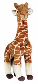 Dante National Geographic Giraffe 35cm