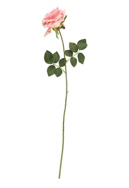 Искусственный цветок роза, белый/розовый/фиолетовый, 720 мм