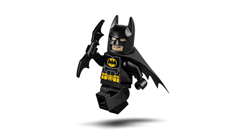 Konstruktorius LEGO® Juniors Batman Vs Mr. Freeze 10737 10737
