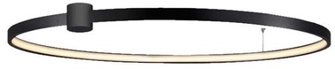 Светильник Light Prestige Ring LP-909/1C 4L BK, 50 Вт, 1 шт.
