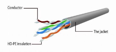 Gembird Cable UTP CAT 6 0.5m Red