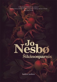 Knyga šikšnosparnis