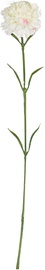 Home4you Bouquet Clove In Garden H59cm White 83861