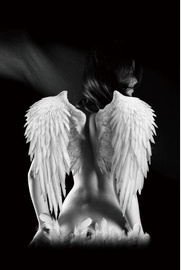 Signal Meble Angel Glass Painting 80x120cm