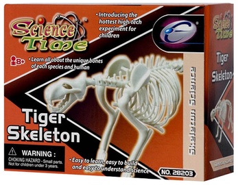 Eastcolight Tiger Skeleton 28008/28203