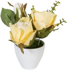 Home4you Roses In Garden With White Pot H15cm Yellow