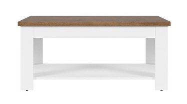 Kohvilaud Black Red White Garum April Oak, 1100x650x505 mm