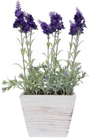 Искусственный цветок Home4you In Garden Lavender In Pot, дерево, белый/фиолетовый