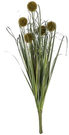 Home4you Bouquet Herbarium 5pcs In Garden H59cm Dark Green 83854