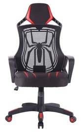 Varr Spider