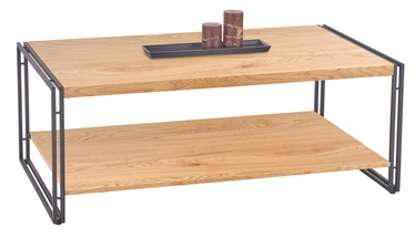 Kohvilaud Halmar Bavaria Golden Oak, 1200x600x450 mm