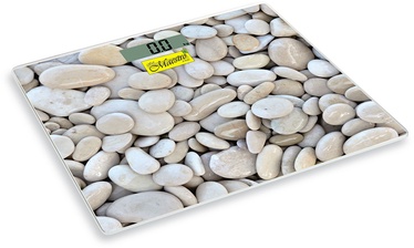 Весы для тела Maestro MR 1825