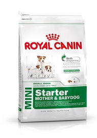 Sausas ėdalas šunims Royal Canin Mini Starter, 1 kg