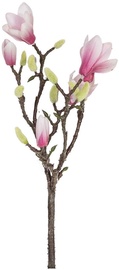 Home4you Bouquet Magnolia In Garden H40cm White/Violet 83864