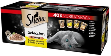 Šlapias kačių maistas Sheba Selection in Sauce, paukštiena, 0.085 kg, 40 vnt.