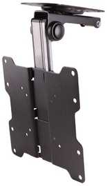 TV hoidik NewStar, 10-40", 20 kg
