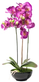 Home4you Light Pink Orchid 3 Long Knotted H72cm