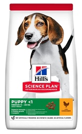 Sausā suņu barība Hill's Science Plan Puppy Medium, vistas gaļa, 18 kg