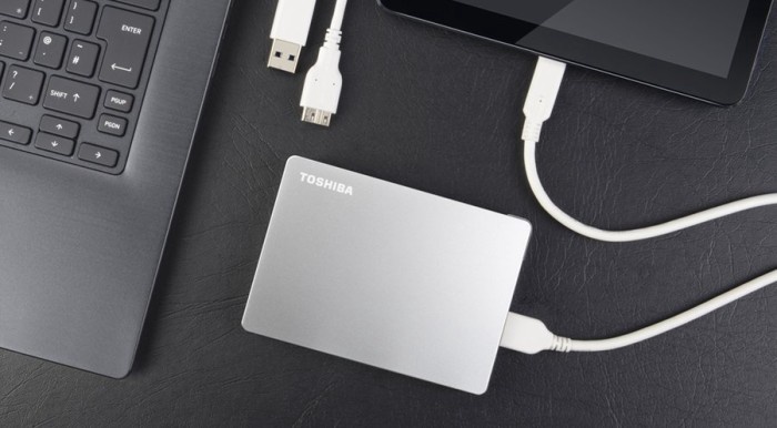 Жесткий диск Toshiba Canvio Flex, HDD, 4 TB, серебристый