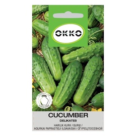 GURĶI DELIKATEß (OKKO)