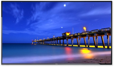Monitorius NEC E326