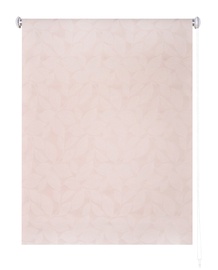 Veltņu aizkari Domoletti Leaf 2170, bēša, 1000 mm x 1700 mm
