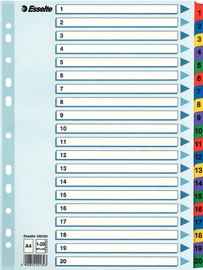 Esselte Document Divider Book 1-20 Colored