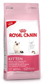 Royal Canin FHN Kitten 4kg