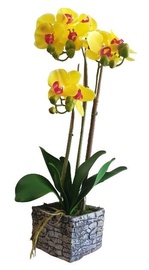 MN Artificial Flowers Orchid 3370064