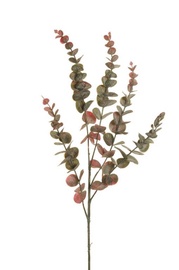 Dirbtinis eukaliptas, 75 cm