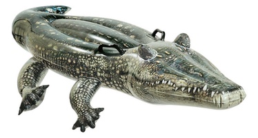 Piepūšams krēsls Intex, zaļa, 1700x860 mm