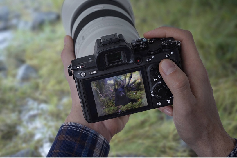 Системный фотоаппарат Sony Alpha a7R III Mirrorless