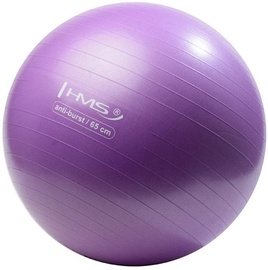 HMS Gym Ball YB02 65cm Purple