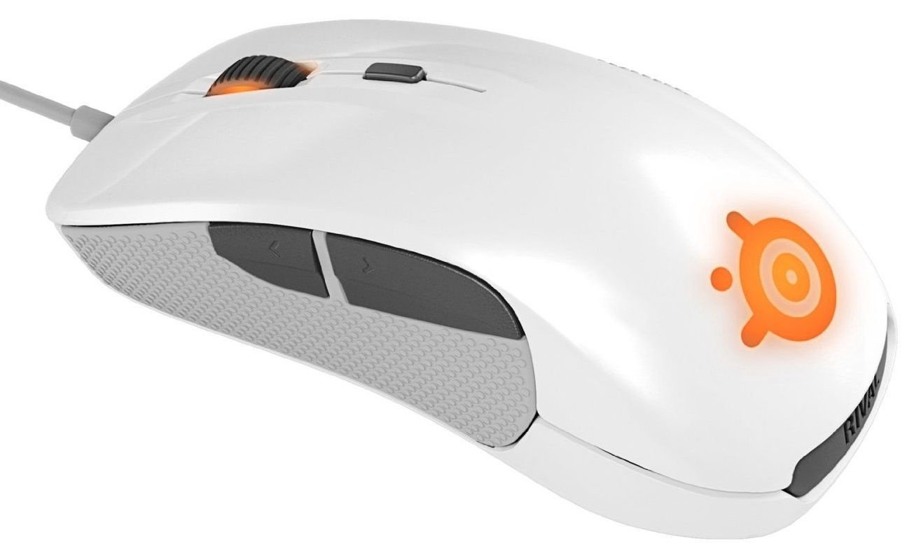 rival 300