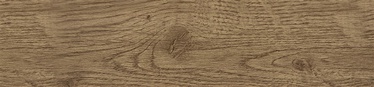 Grindjuostė 304 30004587, 2500 x 60 x 20 mm