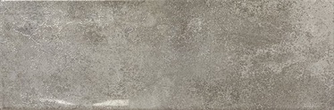 Flīzes APE Bloom Wall Tiles Ossidi 20x60cm Grey
